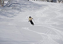 Abbey Skiing Niseko Japan